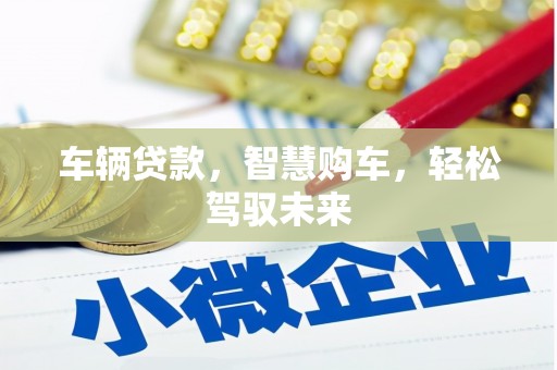 沧县车辆贷款，智慧购车，轻松驾驭未来