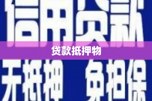 城中贷款抵押物
