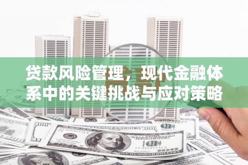 东引贷款风险管理，现代金融体系中的关键挑战与应对策略