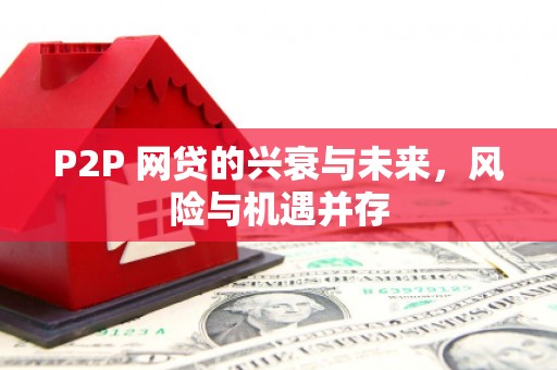 察雅P2P 网贷的兴衰与未来，风险与机遇并存