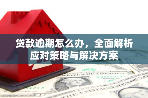 烈山贷款逾期怎么办，全面解析应对策略与解决方案