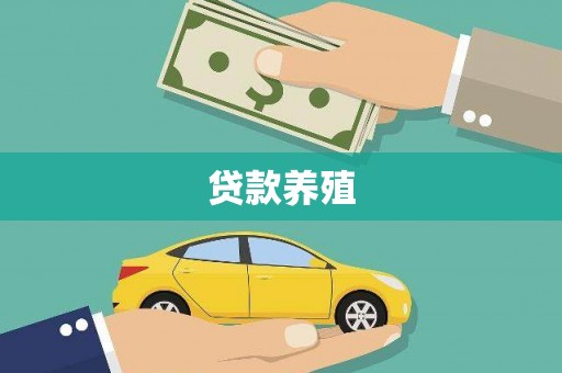 海港贷款养殖