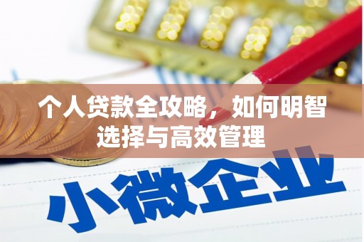 泌阳个人贷款全攻略，如何明智选择与高效管理
