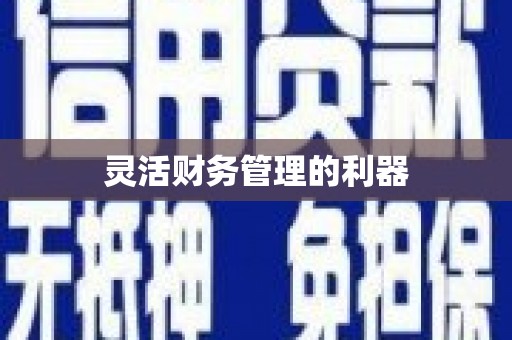 仁寿灵活财务管理的利器