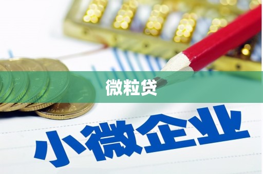 隆尧微粒贷