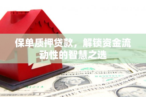 官渡保单质押贷款，解锁资金流动性的智慧之选